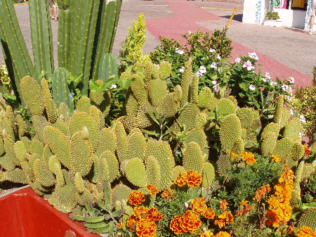 P1020028.JPG