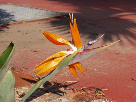 P1020003.JPG