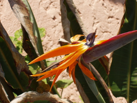 P1020004.JPG