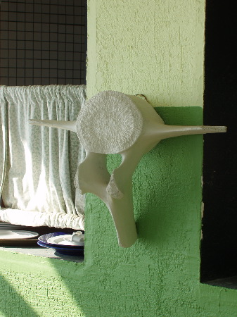P1020043.JPG