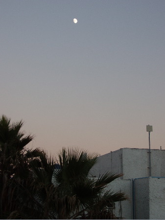 P1030004.JPG