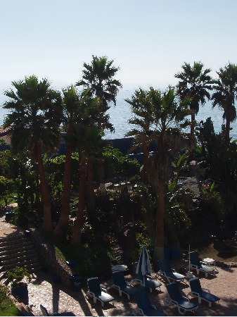 P1020002.JPG