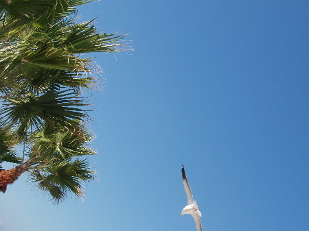 P1020005.JPG