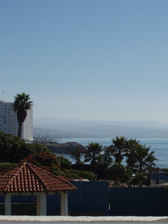 P1020021.JPG