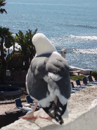 P1020015.JPG